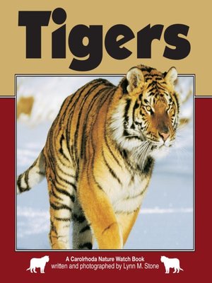 Tigers - ebook